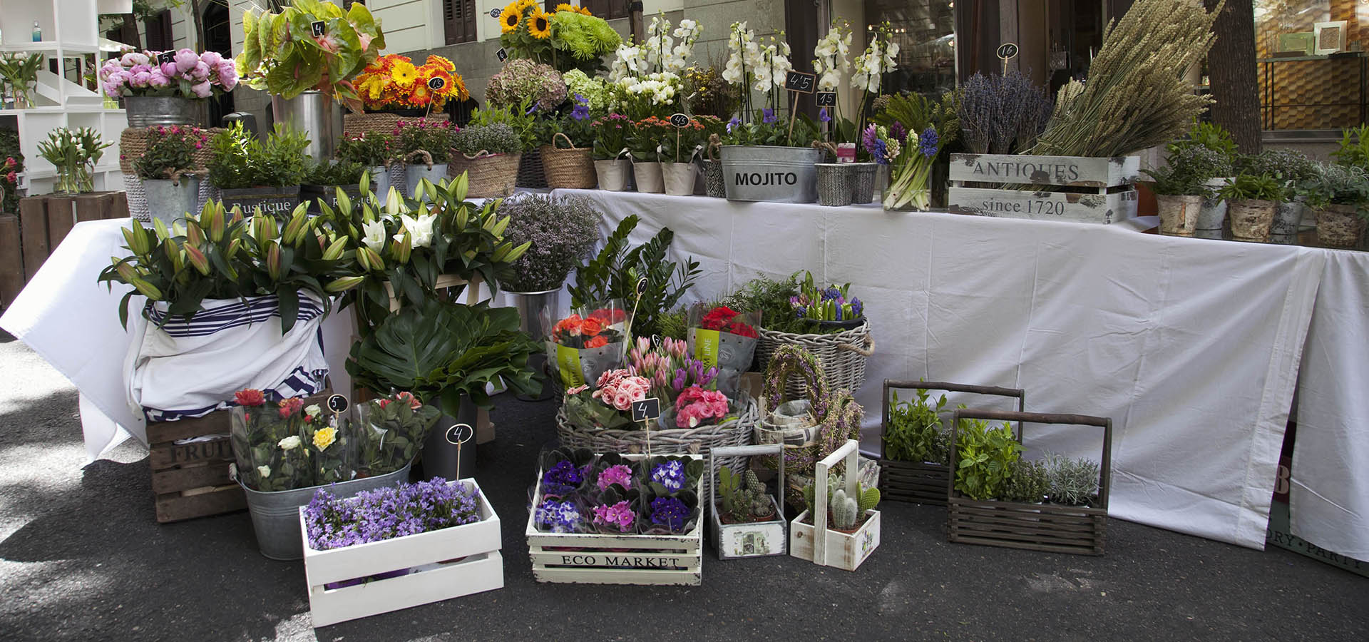 Mercado de las Flores Vogue