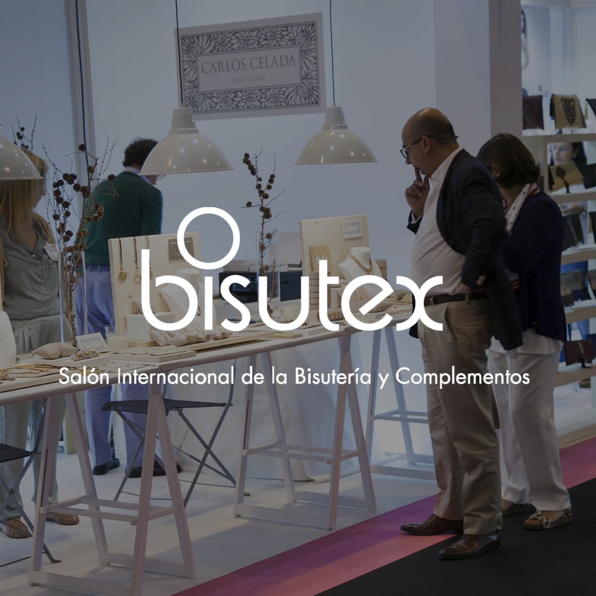 Proyecto Bisutex