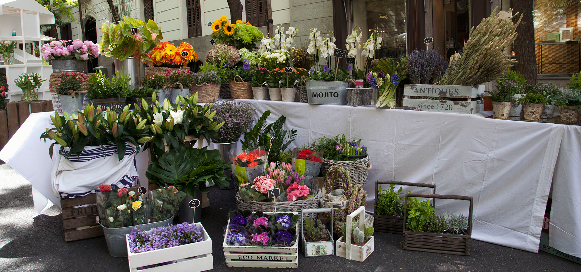 El Mercado de las Flores 2017 vuelve a Zona Jorge Juan