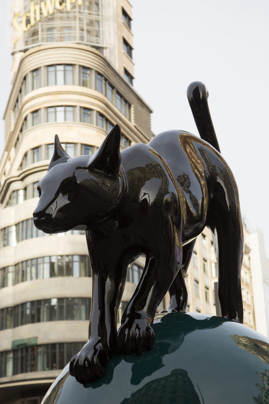 Detalle escultura gato en exterior de plaza de Callao