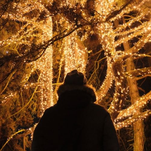 Silueta de persona a contraluz de arbol iluminado por muchas bombillas diminutas