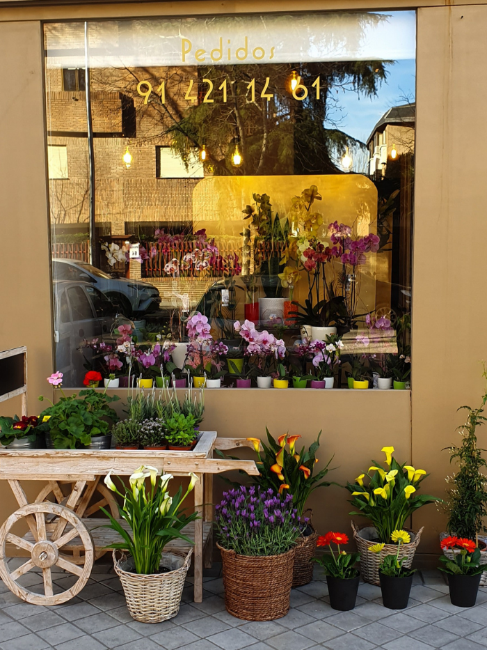 Escaparate de la tienda Flor Decó