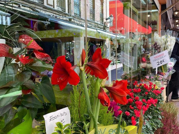 Flores rojas en floristería