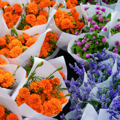 Ramos de lilas y claveles naranja