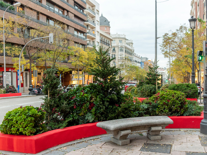 Jardineras Navideñas en la calle Ortega y Gasset