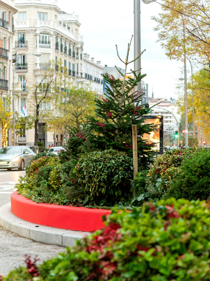 Jardineras Navideñas en la calle Ortega y Gasset