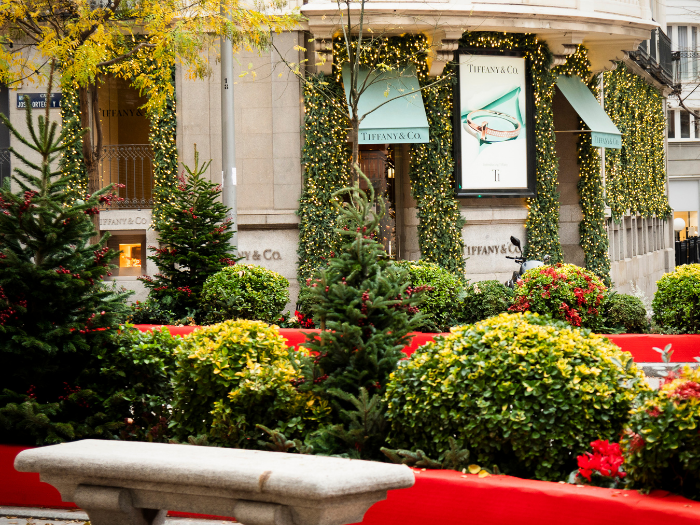 Jardineras Navideñas en la calle Ortega y Gasset