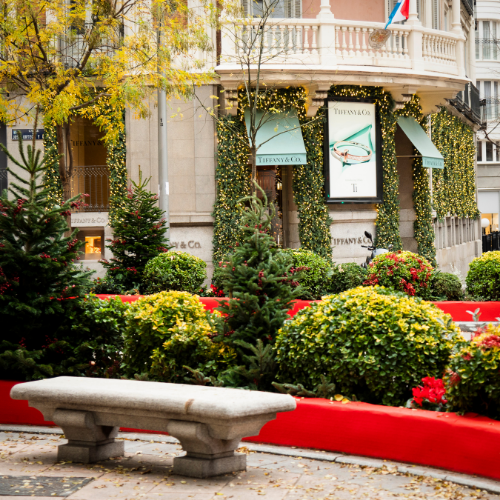 Jardineras Navideñas en la calle Ortega y Gasset