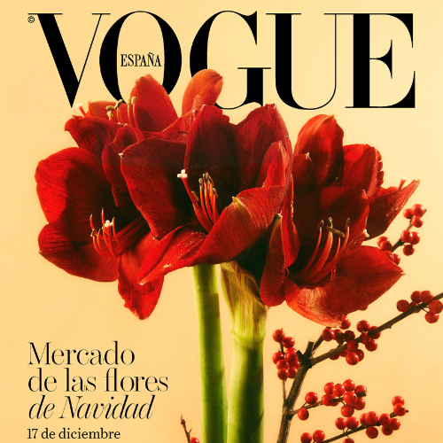 Cartel oficial del Mercado de las Flores de Navidad de Voguex