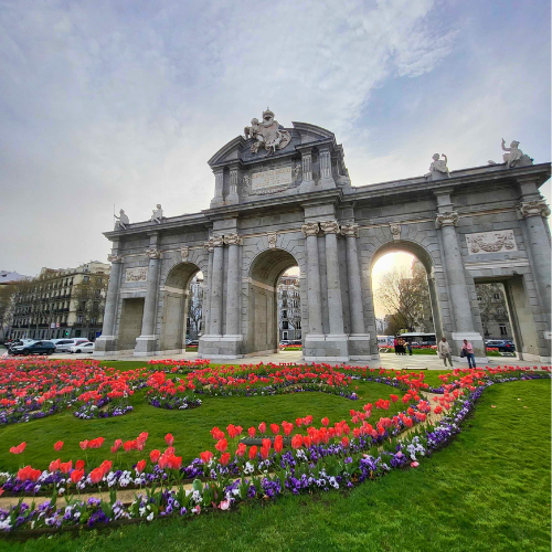 puerta de alcala de madrid con tulipanes